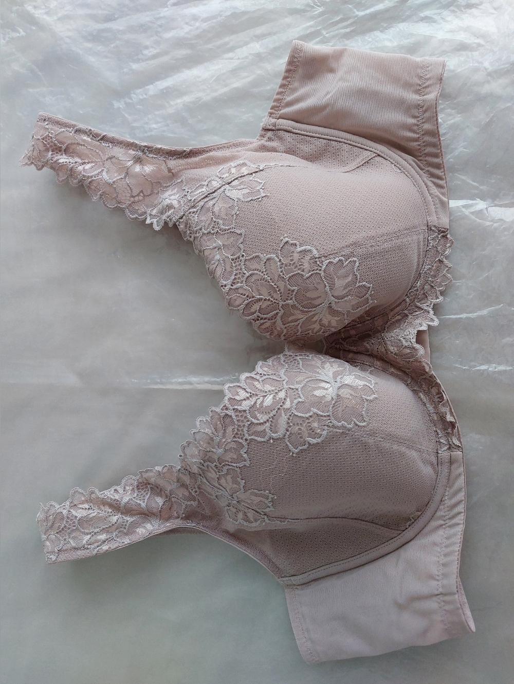 NWOT Triumph Double Layer Wing Bra Floral Lace
